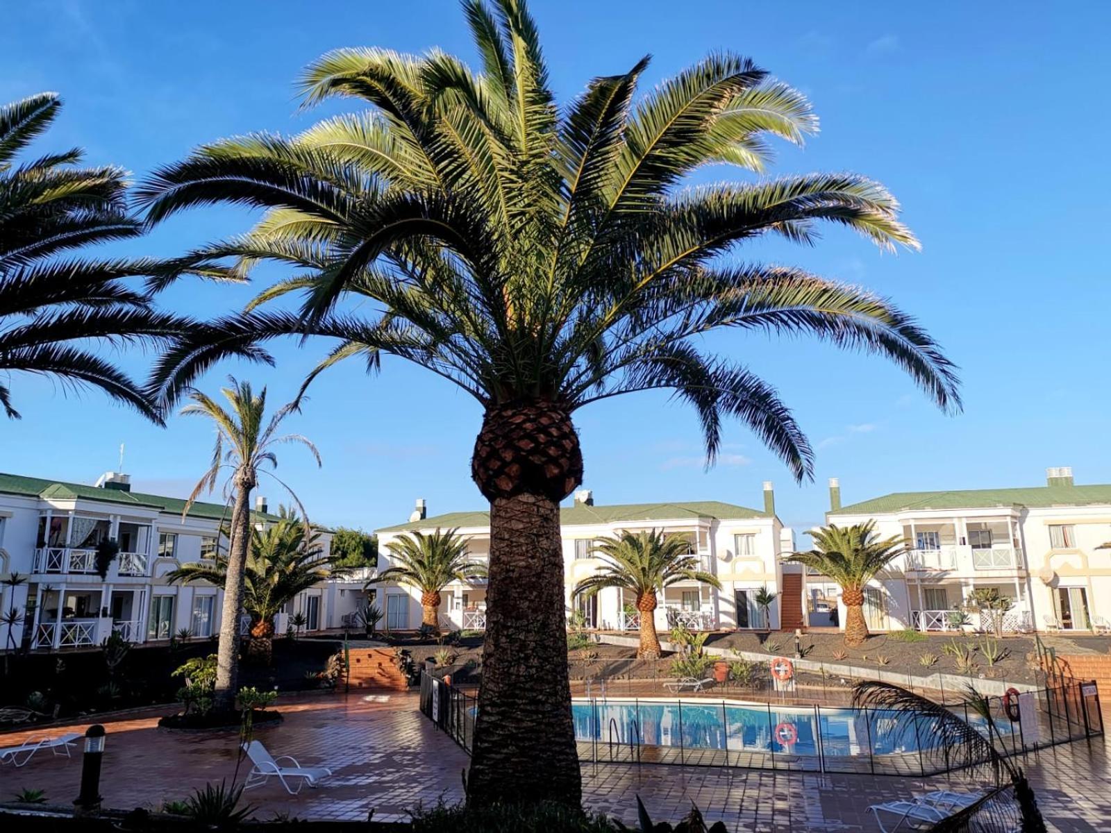Appartement Piccola Oasi à Corralejo Chambre photo